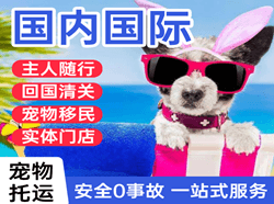 武宿机场物流国际宠物托运 【国